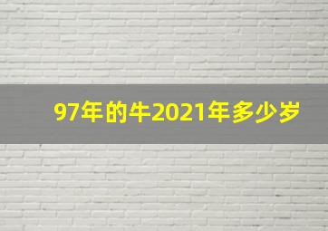 97年的牛2021年多少岁,97年属什么今年多大