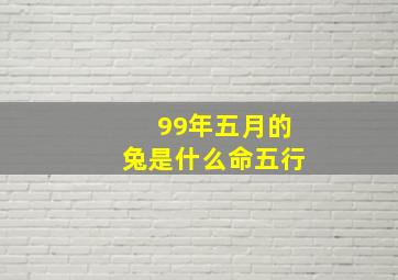 99年五月的兔是什么命五行,1999年五月出生的兔是什么命