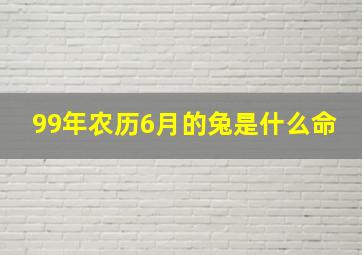 99年农历6月的兔是什么命,1999年属兔农历六月出生的命运