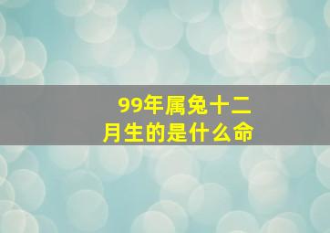 99年属兔十二月生的是什么命,1999年属兔十二月出生好不好