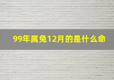 99年属兔12月的是什么命,99年12月份的兔是什么命