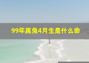 99年属兔4月生是什么命,99年4月的兔是什么命