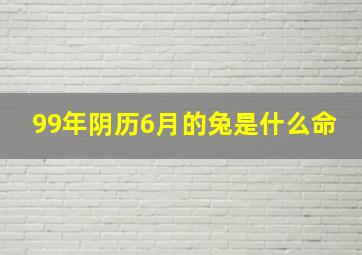 99年阴历6月的兔是什么命,99年属兔6月出生是什么命女