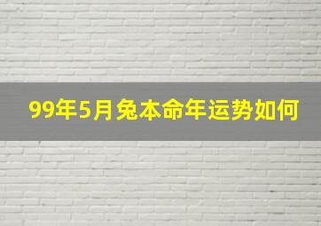 99年5月兔本命年运势如何,99年5月兔本命年运势如何看