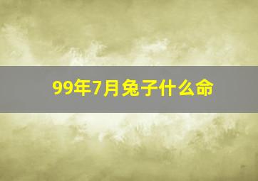 99年7月兔子什么命