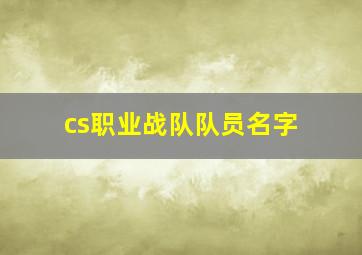 cs职业战队队员名字,cs战队id