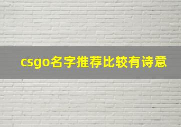 csgo名字推荐比较有诗意,csgo有意思的名字