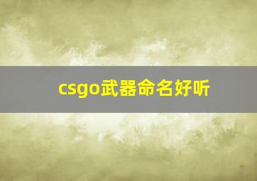 csgo武器命名好听,csgo武器好名字