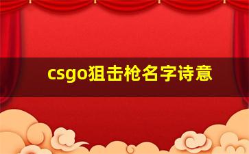 csgo狙击枪名字诗意,csgo适合狙击枪的名字