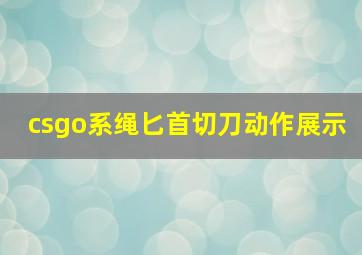 csgo系绳匕首切刀动作展示,csgo系绳匕首特殊切刀