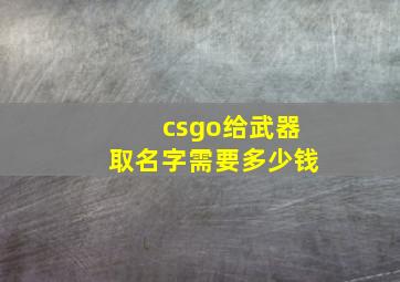 csgo给武器取名字需要多少钱,csgo给武器改名多少钱