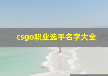 csgo职业选手名字大全,csgo职业选手名字大全霸气