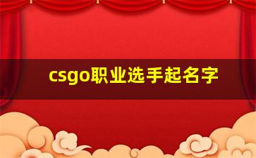 csgo职业选手起名字,csgo知名职业选手id