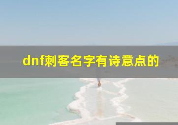 dnf刺客名字有诗意点的,dnf刺客外号