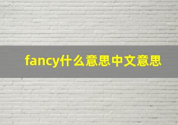 fancy什么意思中文意思,fancy什么意思fancy相关语法运用