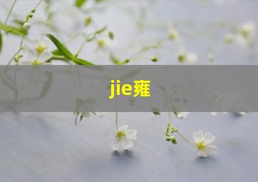 jie雍,