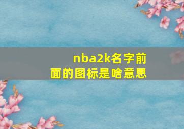 nba2k名字前面的图标是啥意思,nba2konline的NBA生涯里的球员信息的称号有哪些