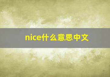 nice什么意思中文,nice是什么意思