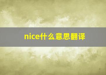 nice什么意思翻译,nice是什么意思