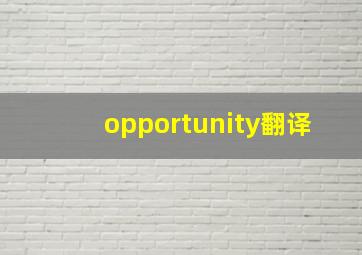 opportunity翻译