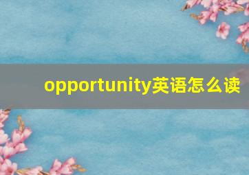 opportunity英语怎么读