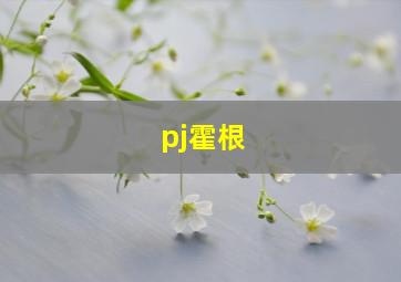 pj霍根,