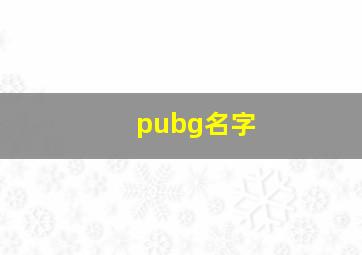 pubg名字,pubg名字旁边的牌子