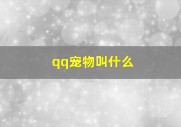 qq宠物叫什么,qq宠物大全