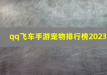 qq飞车手游宠物排行榜2023,qq飞车手游集气宠物有哪些