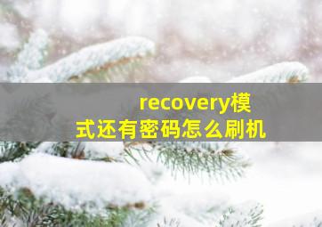 recovery模式还有密码怎么刷机,recovery模式还有密码怎么办不知道锁屏密码