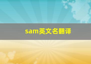 sam英文名翻译,SAM是什么意思