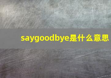 saygoodbye是什么意思,BYE代表什么意思