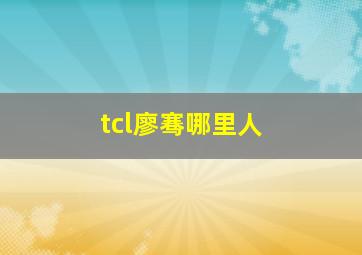 tcl廖骞哪里人,廖祯个人介绍