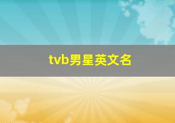 tvb男星英文名,查找关于TVB演员郭鸿政的资料