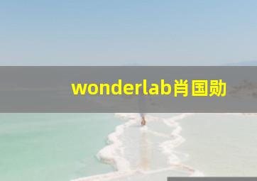 wonderlab肖国勋,肖国芝简历