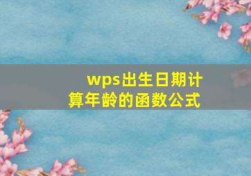 wps出生日期计算年龄的函数公式,wps表格中有出生日期怎么计算年龄