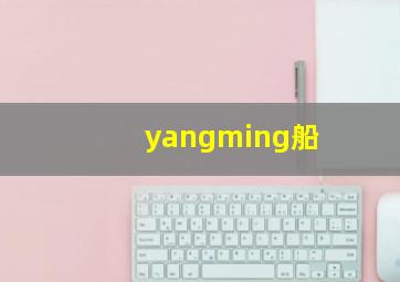 yangming船,阳明船公司